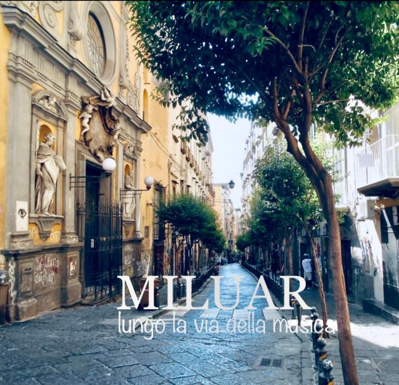 Miluar - Centro Storico - Lungo La Via Della Musica Bed and Breakfast Νάπολη Εξωτερικό φωτογραφία